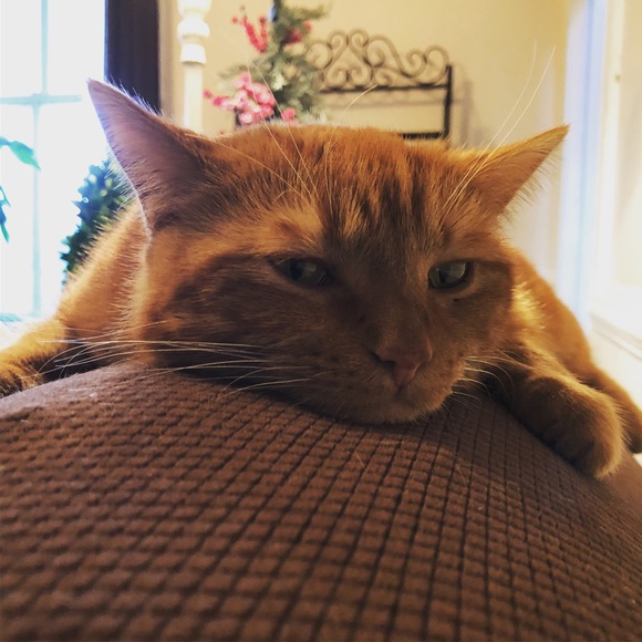 Meet your Posher! - Picture 4 of 5